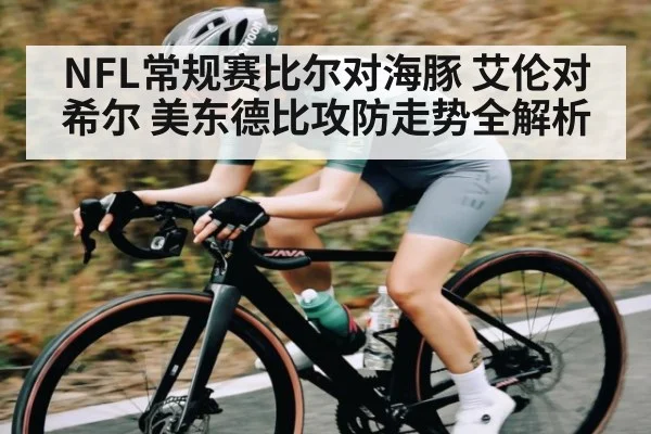 NFL常规赛比尔对海豚 艾伦对希尔 美东德比攻防走势全解析（kaiyun）